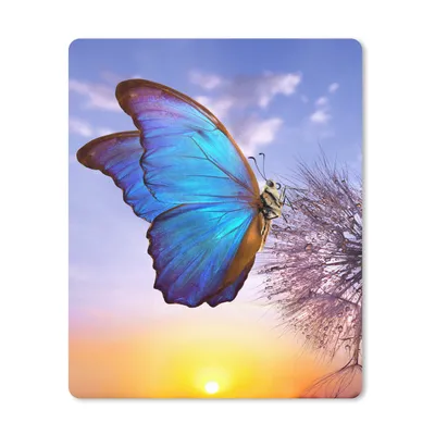 Produktbild von MuchoWow® Mauspad Mousepad Schmetterling - Sonnenuntergang - Löwenzahn - Blau 30x40 cm - Mousepads - Maus Mat - Pad - Mausunterlage - Mausmatten