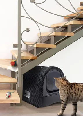 Productafbeelding van Kattenbak Anthraciet 51x385x395 - Grote kattenbak - Anthracietgrijs - 51x385x395 cm - Extra ruim - Gemakkelijk schoon te maken