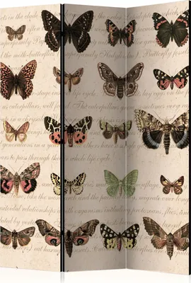 Produktbild von 3-teiliger Einseitiger Vlies Paravent - Retro Style: Butterflies 135x172 cm Tiere g-C-0032-z-b
