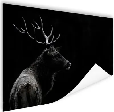 Produktbild von MuchoWow® Poster Hirsch - Schwarz - Weiß - Geweih 90x60 cm - Schlafzimmer