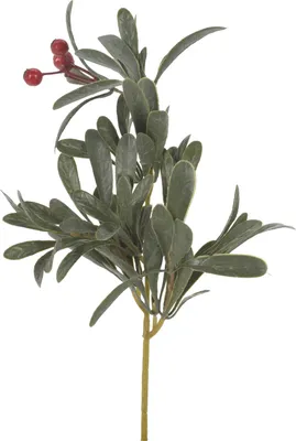Obrázok produktu pre Zelená vetvička s bobuľami, 34 cm, variant B