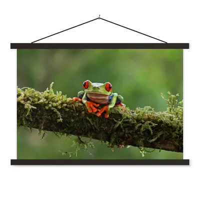Produktbild von MuchoWow® Textilposter Rotäugiger Quecksilberfrosch auf bewachsenem Ast 150x100 cm mit schwarzem Rahmen - Schlafzimmer
