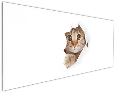Produktbild von Wallario Küchenrückwand aus Glas, Größe: 125 x 50 cm, Motiv: Katze mit Blick nach vorn | Spritzschutz | abwischbar | pflegeleicht | in