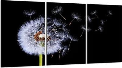 Produktbild von Glasschutzplatte für Herd 3x30x52