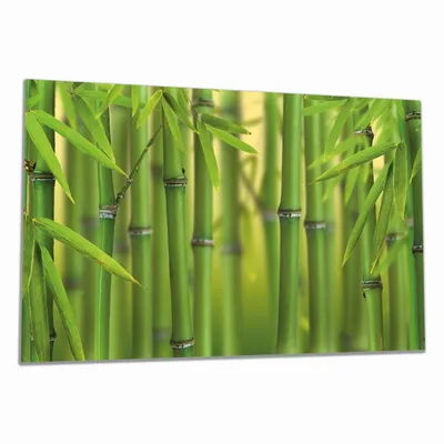 Produktbild von Wallario Herdabdeckplatte aus Glas, Größe 80 x 52 cm 1-teilig, Motiv Grüner Bambuswald