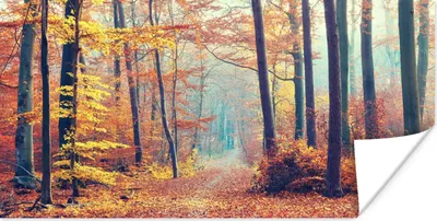 Produktbild von MuchoWow® Poster Wald - Herbst - Laub 40x20 cm - Poster für die Wand - Poster Schlafzimmer