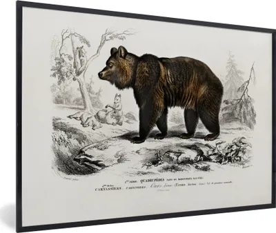 Produktbild von MuchoWow® MuchoWow® Gerahmtes Poster Bär - Vintage - Tier 30x20 cm - Poster mit zchwarzem Bilderrahmen - Kunstdruck - Bild-Poster