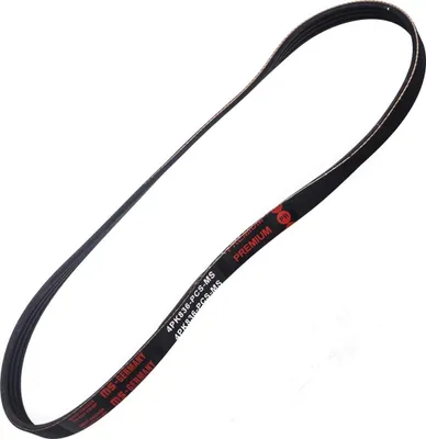 Produktbild von MASTER-SPORT Keilrippenriemen 836mm für NISSAN MICRA III (K12) 4PK836-PCS-MS