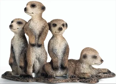 Produktbild von schleich Erdmännchen Jungen, 3 Jahr(e), Braun, Kunststoff