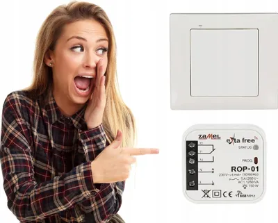 Image de Zamel | Kit de contrôle sans fil RZB-01 - 2 canaux - Blanc - Économie d'énergie - Facile à installer