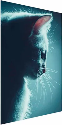 Produktbild von Posterpapier Poster - Night Wanderer 40x60 cm Tiere g-B-0135-ao-a
