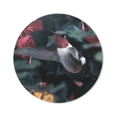 Produktbild von MuchoWow® Mauspad Mousepad Kolibri - Schmetterlinge - Rosa 40x40 cm - Mousepads - Maus Mat - Pad - Mausunterlage - Schreibtisch Accessoires