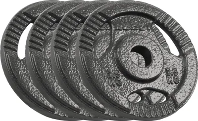 Produktbild von Gusseisen Gewichtssatz 4x2,5kg 10kg Loch 31mm Scheibe mit Griffen REBEL