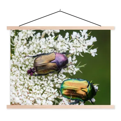Produktbild von MuchoWow® Textilposter Käfer - Blume - Bunt 60x45 cm mit holzfarbenen Rahmen - Bild