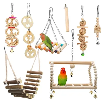 Imagen del producto de Elzusha: Alimento y accesorios para loros y aves