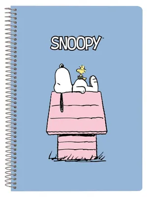Immagine prodotto di Taccuino Snoopy A5 80 fogli