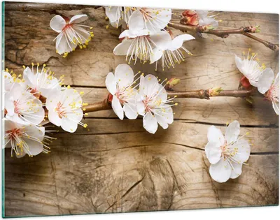 Produktbild von Bilder auf glas - Blume Stängel - 120x80cm - Glasbilder - Wandbilder - Kunstdruck - zum Aufhängen bereit - Wanddekoration aus Glas - Glas Bilder - Wandbild auf Glas - Einteilig - GAA120x80-3537