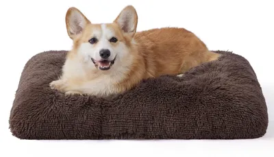 Hundebett-Matte mit Antirutschboden, 74x53 cm, Braun