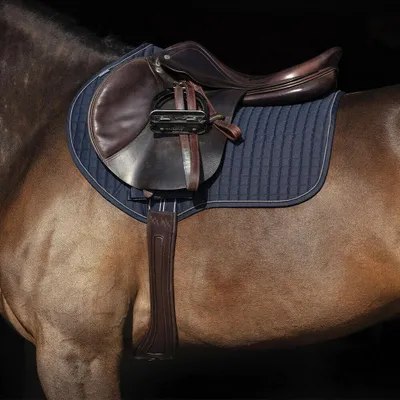 Obrázek produktu pro Horseware Micklem Long Comfort Obratlík