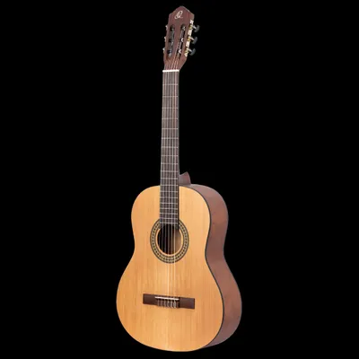 Obrázok produktu pre Ortega RSTC5M-L