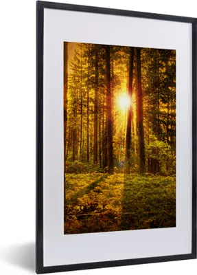 Produktbild von MuchoWow® Gerahmtes Poster Wald - Sonne - Bäume - Natur - Sonnenuntergang 40x60 cm - Poster mit Schwarzem Bilderrahmen Wandposter Rahmen Foto Bilder - Poster in Rahmen