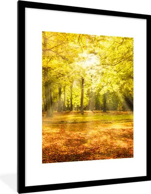 Produktbild von MuchoWow® Gerahmtes Poster Baum - Natur - Sonne - Landschaft - Wald 60x80 cm - Poster mit Schwarzem Bilderrahmen Wandposter Rahmen Foto Bilder - Wohnzimmer - Dekorationen - Prämie