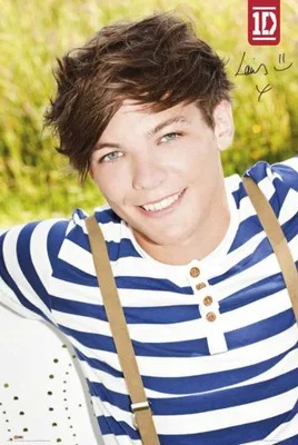 Obrázek produktu pro One Direction - Plakát - Louis