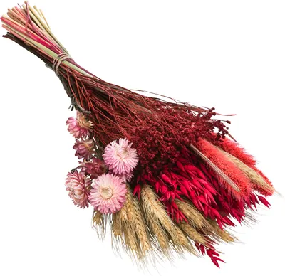 Produktbild von Dehner Blumenstrauß aus Trockenblumen, Blumen-Bouquet Trendy aus echten Gräsern und Blumen, Länge 40 cm, Naturmaterial, rosa / naturfarben