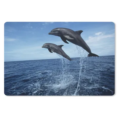 Produktbild von MuchoWow® Mauspad Mousepad Delfin - Meer - Tier 27x18 cm - Mousepads - Maus Mat - Pad - Mausunterlage - Büroartikel - Desk Matten