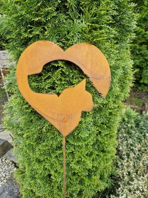Immagine prodotto di Cuore in acciaio inossidabile per cani e gatti