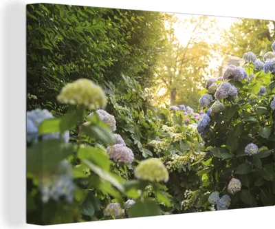 Produktbild von OneMillionCanvasses® - Leinwandbilder - 150x100 cm, Hortensiengarten, Wandbilder Kunstdruck Wanddekoration