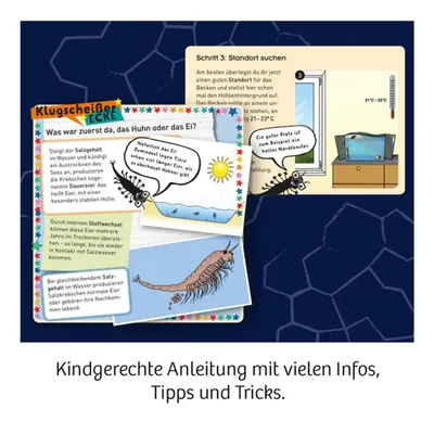 Produktbild von Kosmos Wuselnde Salzkrebse, Experimentier-Set, Biologie, 8 Jahr(e), Mehrfarbig
