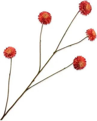 Produktbild von Warentuin Producten