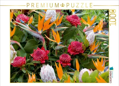 Produktbild von Calvendo Paradiesvogelblumen - Zuckerbüsche (Protea) 1000 Teile Puzzle quer 640x480mm, Meyer Dieter; 7304884