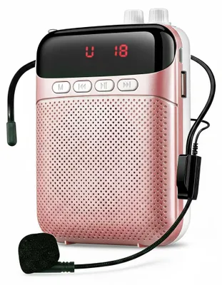 Immagine prodotto di InAndOutdoorMatch - Amplificatore portatile - 10 W - Ricaricabile, Immagine generata dall'IA