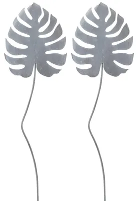 Image de Fiche de jardin Monstera 25 cm