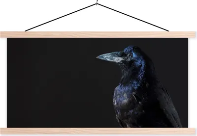 Produktbild von MuchoWow® Textilposter Vogel - Tiere - Schwarz 60x30 cm mit holzfarbenen Rahmen - Dekoration