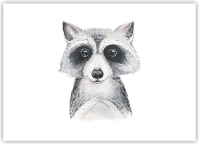Produktbild von Poster - Poster ohne Rahmen - Waschbär Bild Kinder - 70x50 cm - Wand Bild - Wanddeko - Wandbilder - Kunstposter - Wandposter - Bilder - Kunstdruck - Wanddekoration - Wandbild - P2XAA70x50-4607