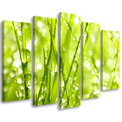 Produktbild von 5-teiliges leinwandbild grüne blätter rosentropfen 200x100 cm Feeby grün wandbild bereit zum aufhängen