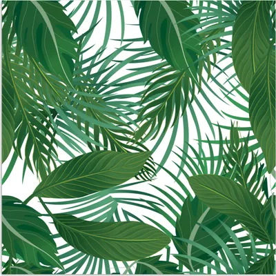 Produktbild von MuchoWow® Poster Blätter - Muster - Tropisch 75x75 cm - Wand Dekoration