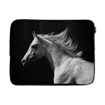 Obrázek produktu pro Pouzdro na notebook 13 palců Koně - Hospodářská zvířata - Hříva Brašna na notebook