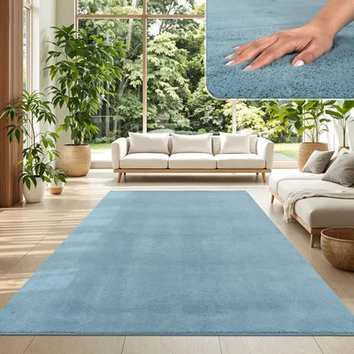 A living room scene with a blue rug, sofas, and plants.