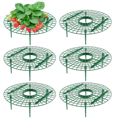 Immagine prodotto di Solidchoice - 6 protezioni per fragole, ideali per ortaggi e piante