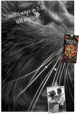 Produktbild von Magnettafel 60x90cm Pinnwand Whiteboard beschreibbar - Nahaufnahme Katze