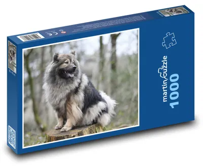 Obrázok produktu pre Puzzle 1000 Krásny Eurasier v prírode - martinpuzzle
