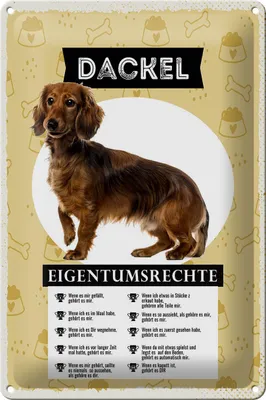 Produktbild von Blechschild 20x30cm Dackel Eigentumsrechte
