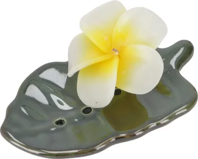 Produktbild von Keramik Seifenschale `Blatt` - Grün, 2*10*8 cm, Seifenschalen