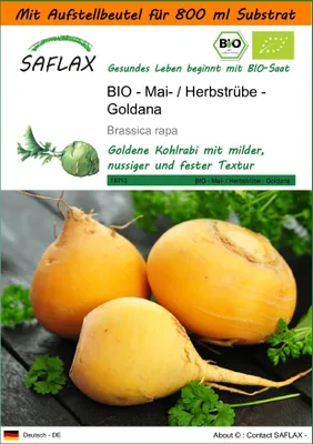 Produktbild von SAFLAX Garden in the bag - BIO - Kohlrabi - Goldana - Brassica rapa - 500 Samen - Mit Anzuchtsubstrat im praktischen, selbst aufstellenden Beutel