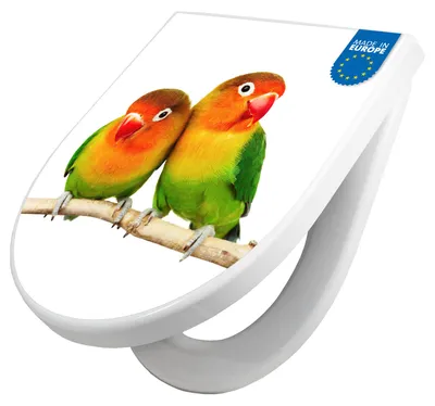 Produktbild von WC Sitz mit Absenkautomatik D Form Motiv Papageien [TDW3 10148]