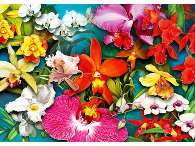Produktbild von ENJOY Dschungel Orchidee Puzzle 1000 Teile